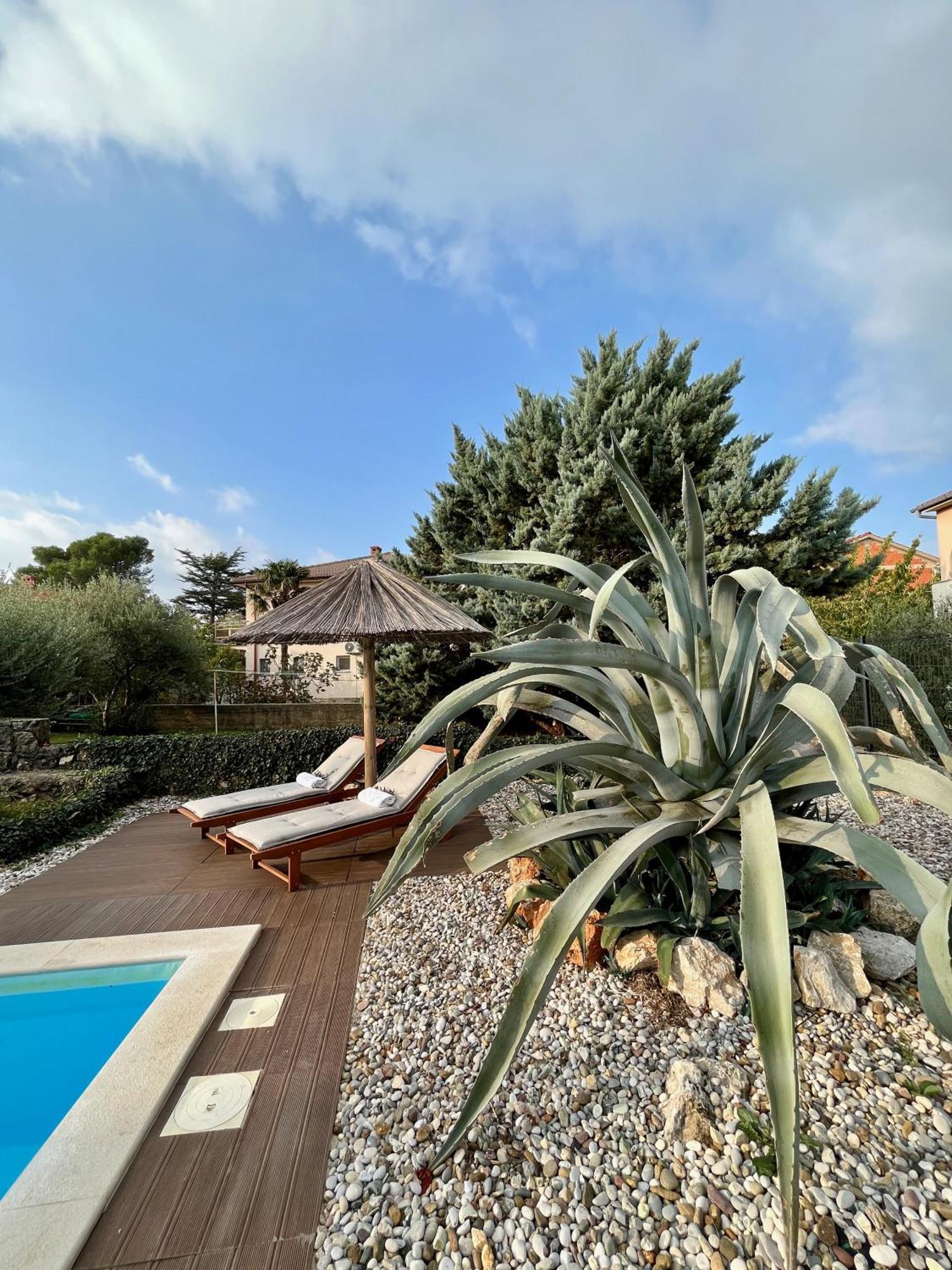 Villa Cimic คิร์ก ภายนอก รูปภาพ